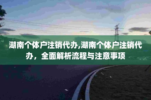 湖南个体户注销代办,湖南个体户注销代办，全面解析流程与注意事项