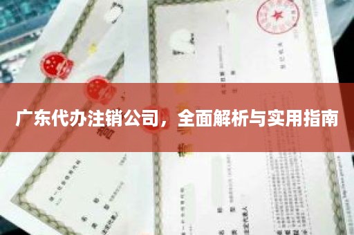 广东代办注销公司，全面解析与实用指南