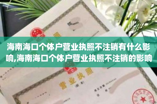 海南海口个体户营业执照不注销有什么影响,海南海口个体户营业执照不注销的影响