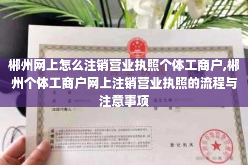 郴州网上怎么注销营业执照个体工商户,郴州个体工商户网上注销营业执照的流程与注意事项