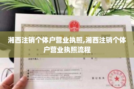 湘西注销个体户营业执照,湘西注销个体户营业执照流程