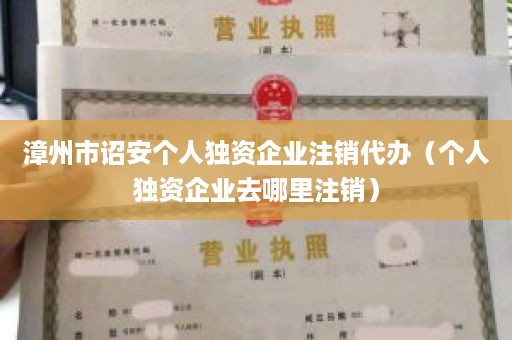漳州市诏安个人独资企业注销代办（个人独资企业去哪里注销）