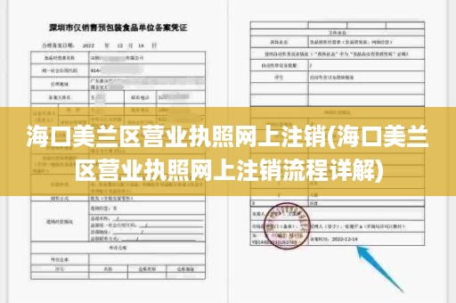 海口美兰区营业执照网上注销(海口美兰区营业执照网上注销流程详解)