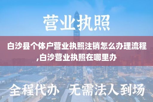 白沙县个体户营业执照注销怎么办理流程,白沙营业执照在哪里办