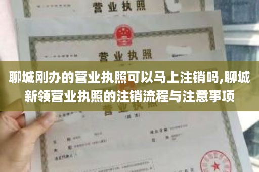 聊城刚办的营业执照可以马上注销吗,聊城新领营业执照的注销流程与注意事项