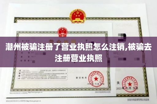 潮州被骗注册了营业执照怎么注销,被骗去注册营业执照