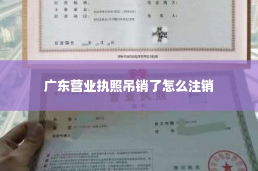 广东营业执照吊销了怎么注销