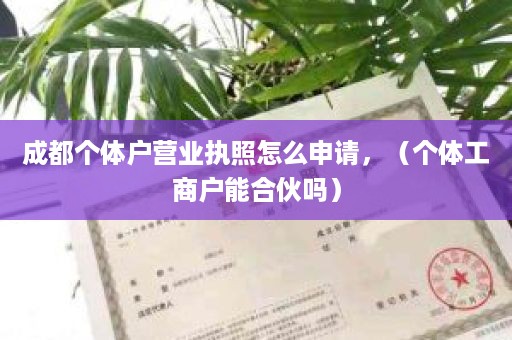成都个体户营业执照怎么申请，（个体工商户能合伙吗）