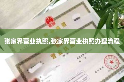 张家界营业执照,张家界营业执照办理流程