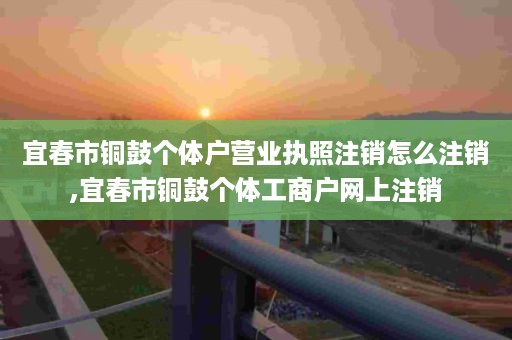 宜春市铜鼓个体户营业执照注销怎么注销,宜春市铜鼓个体工商户网上注销