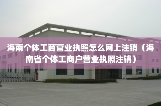 海南个体工商营业执照怎么网上注销（海南省个体工商户营业执照注销）