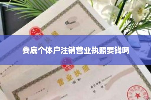 娄底个体户注销营业执照要钱吗