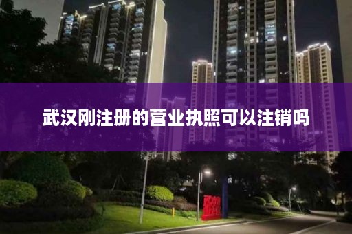 武汉刚注册的营业执照可以注销吗