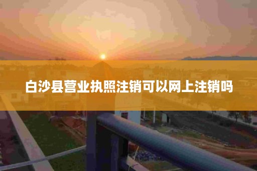 白沙县营业执照注销可以网上注销吗