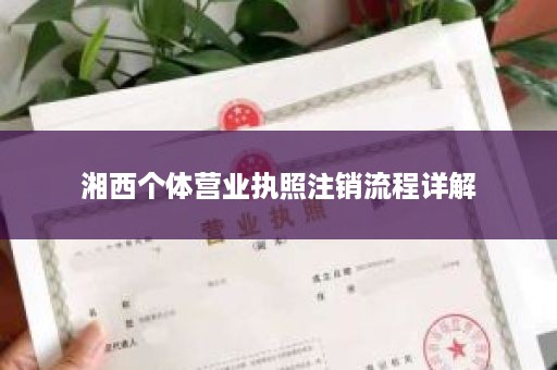 湘西个体营业执照注销流程详解