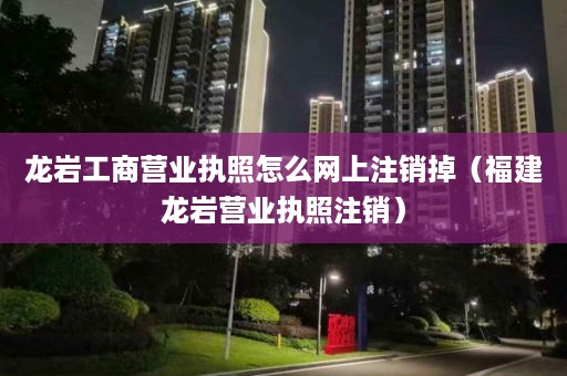 龙岩工商营业执照怎么网上注销掉（福建龙岩营业执照注销）