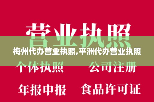梅州代办营业执照,平洲代办营业执照