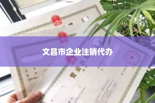 文昌市企业注销代办