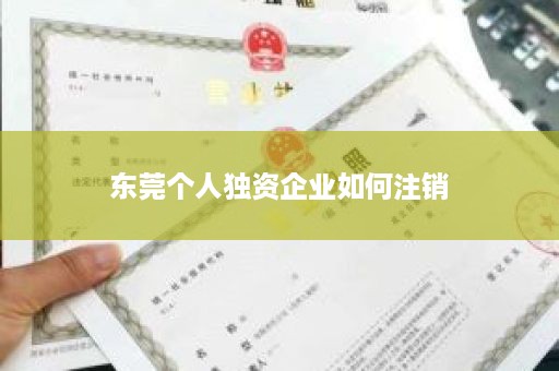 东莞个人独资企业如何注销