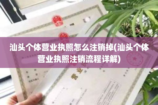 汕头个体营业执照怎么注销掉(汕头个体营业执照注销流程详解)