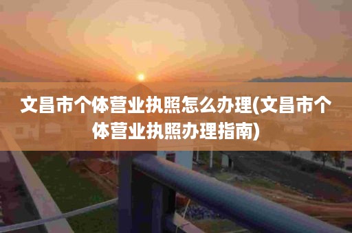 文昌市个体营业执照怎么办理(文昌市个体营业执照办理指南)