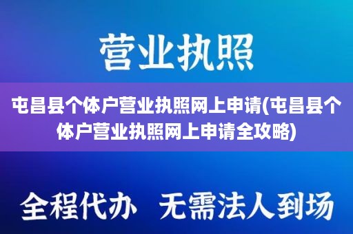 屯昌县个体户营业执照网上申请(屯昌县个体户营业执照网上申请全攻略)