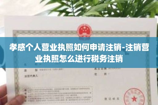 孝感个人营业执照如何申请注销-注销营业执照怎么进行税务注销