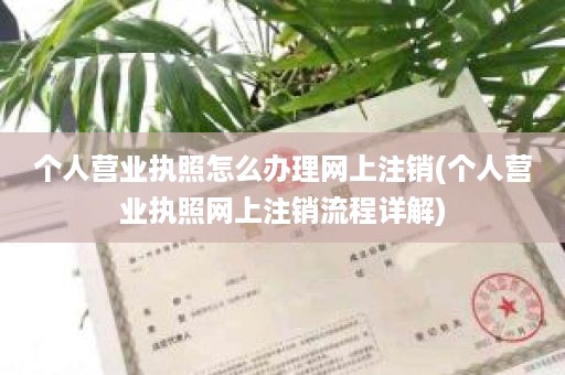 个人营业执照怎么办理网上注销(个人营业执照网上注销流程详解)