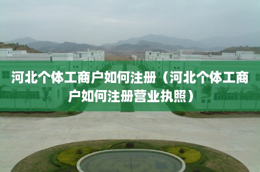河北个体工商户如何注册（河北个体工商户如何注册营业执照）
