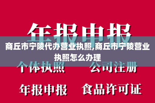 商丘市宁陵代办营业执照,商丘市宁陵营业执照怎么办理