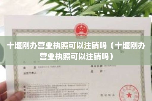 十堰刚办营业执照可以注销吗（十堰刚办营业执照可以注销吗）