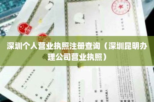 深圳个人营业执照注册查询（深圳昆明办理公司营业执照）