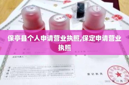 保亭县个人申请营业执照,保定申请营业执照