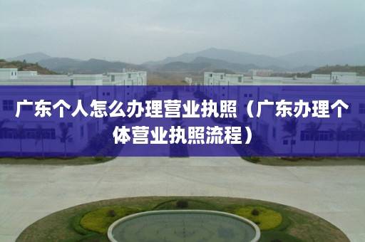 广东个人怎么办理营业执照（广东办理个体营业执照流程）