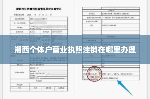 湘西个体户营业执照注销在哪里办理