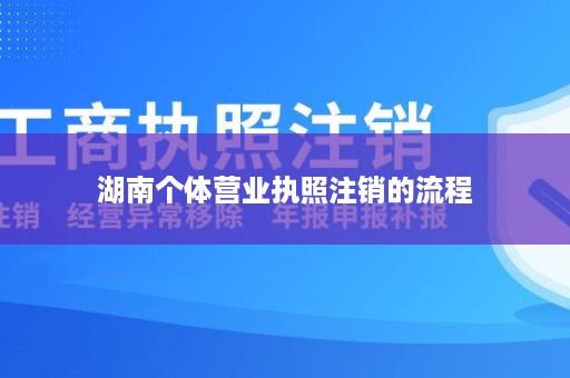 湖南个体营业执照注销的流程