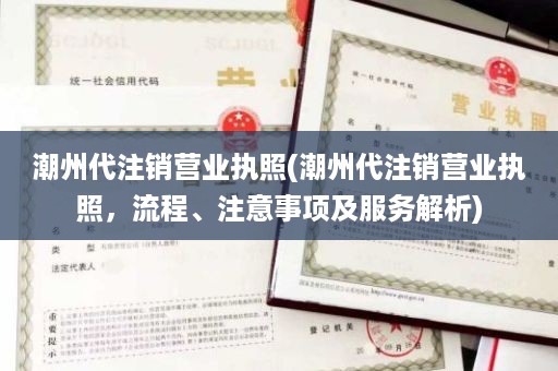 潮州代注销营业执照(潮州代注销营业执照，流程、注意事项及服务解析)