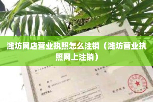 潍坊网店营业执照怎么注销（潍坊营业执照网上注销）