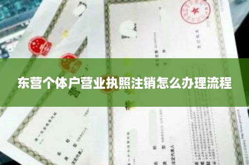 东营个体户营业执照注销怎么办理流程