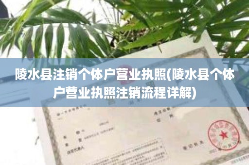 陵水县注销个体户营业执照(陵水县个体户营业执照注销流程详解)