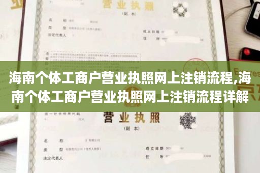 海南个体工商户营业执照网上注销流程,海南个体工商户营业执照网上注销流程详解