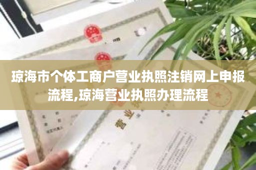 琼海市个体工商户营业执照注销网上申报流程,琼海营业执照办理流程