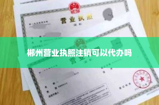 郴州营业执照注销可以代办吗