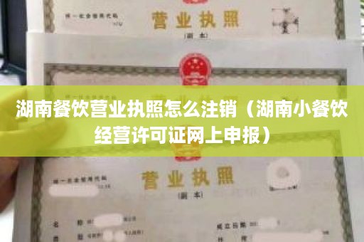 湖南餐饮营业执照怎么注销（湖南小餐饮经营许可证网上申报）