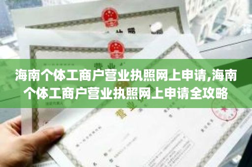 海南个体工商户营业执照网上申请,海南个体工商户营业执照网上申请全攻略