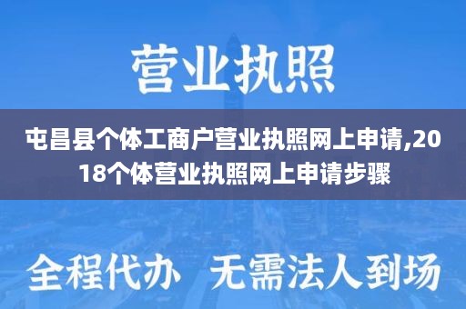 屯昌县个体工商户营业执照网上申请,2018个体营业执照网上申请步骤