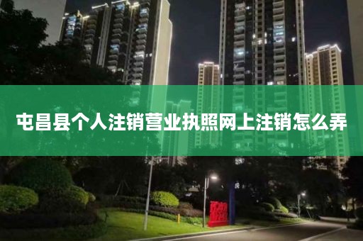 屯昌县个人注销营业执照网上注销怎么弄
