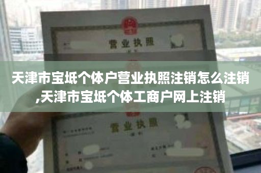 天津市宝坻个体户营业执照注销怎么注销,天津市宝坻个体工商户网上注销