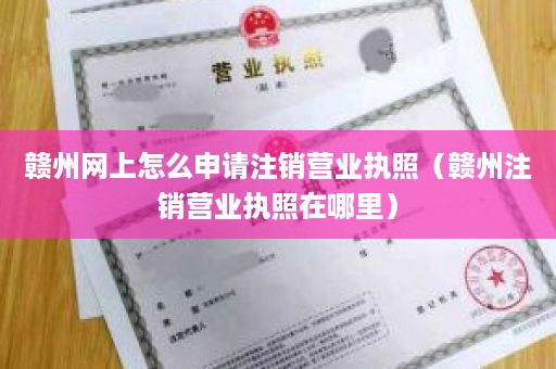 赣州网上怎么申请注销营业执照（赣州注销营业执照在哪里）