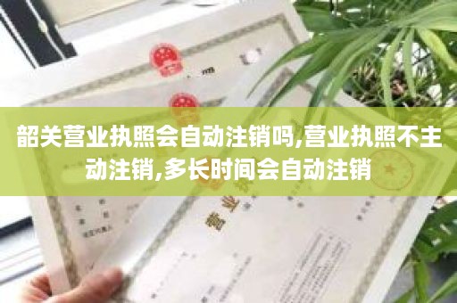 韶关营业执照会自动注销吗,营业执照不主动注销,多长时间会自动注销